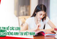 Photo of Chứng chỉ tiếng anh thông dụng nhất nên thi